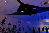 名古屋ルーセントタワーの写真・動画_image_172569