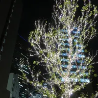 名駅4丁目9−8の写真・動画_image_172579