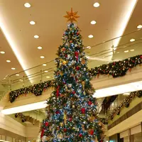 JRセントラルタワーズの写真・動画_image_172589