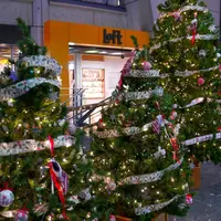 ナディアパークの写真・動画_image_172624