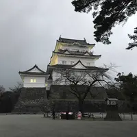 小田原城の写真・動画_image_172652