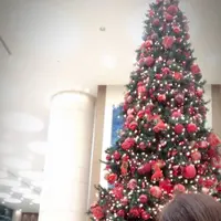 東京ドームホテルの写真・動画_image_172744