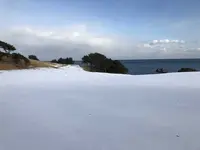 種差海岸の写真・動画_image_172874