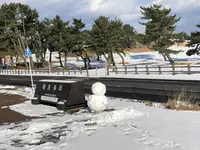 種差海岸の写真・動画_image_172878