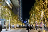 JRゲートタワーの写真・動画_image_173013