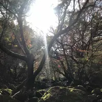 マゼノ渓谷の写真・動画_image_173042