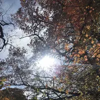 マゼノ渓谷の写真・動画_image_173043