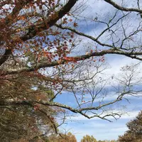 マゼノ渓谷の写真・動画_image_173044