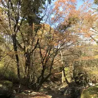 マゼノ渓谷の写真・動画_image_173045