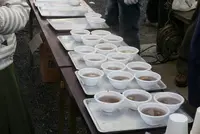 墨俣城の写真・動画_image_173090