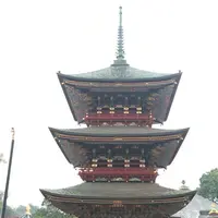 成田山新勝寺の写真・動画_image_173234