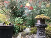 三芳家の写真・動画_image_173255