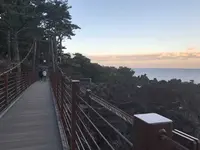城ケ崎つり橋（門脇灯台）の写真・動画_image_173377