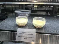 賛否両論 寄り道の写真・動画_image_173400