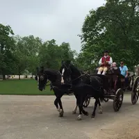 The Colonial Williamsburg Foundationの写真・動画_image_173477