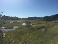 コッド岬の写真・動画_image_173509