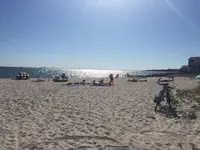 コッド岬の写真・動画_image_173510