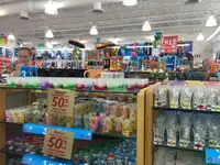 コッド岬の写真・動画_image_173511