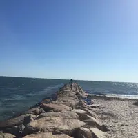 コッド岬の写真・動画_image_173515