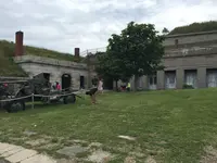 ジョージズ島の写真・動画_image_173534