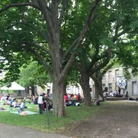 ジョージズ島の写真・動画_image_173536