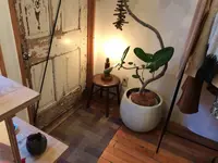 PALETOWNの写真・動画_image_173585