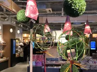 函館 蔦屋書店の写真・動画_image_173949