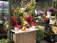 函館 蔦屋書店の写真・動画_image_173950