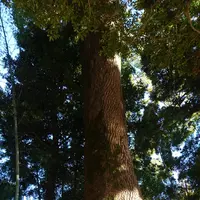伊豆山神社の写真・動画_image_174077
