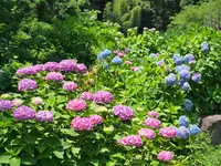 二宮せせらぎ公園の写真・動画_image_174101