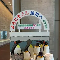 旭川駅の写真・動画_image_174131