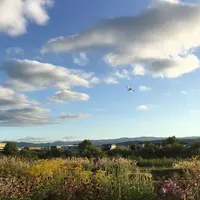 旭川駅の写真・動画_image_174132