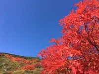 旭岳の写真・動画_image_174141