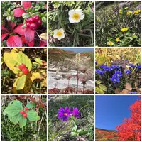 旭岳の写真・動画_image_174153