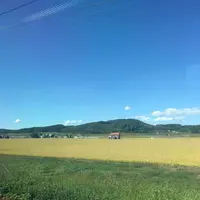旭川市 旭山動物園の写真・動画_image_174155