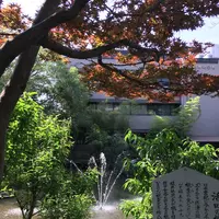 生田神社の写真・動画_image_174177
