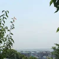北野天満神社の写真・動画_image_174188