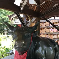 北野天満神社の写真・動画_image_174190