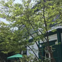 スターバックス・コーヒー 神戸北野異人館店（STARBUCKS COFFEE）の写真・動画_image_174194