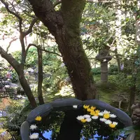 法然院の写真・動画_image_174206