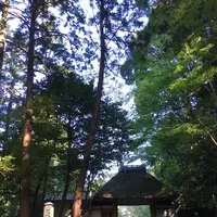 法然院の写真・動画_image_174207