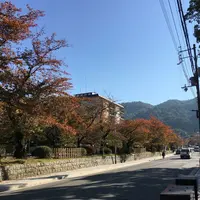 哲学の道の写真・動画_image_174222