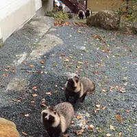 七味温泉の写真・動画_image_174226