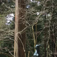 三峯神社の写真・動画_image_174423