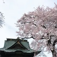 慈眼寺の写真・動画_image_174436