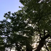 今宮神社の写真・動画_image_174438