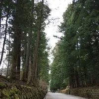 日光二荒山神社の写真・動画_image_174446