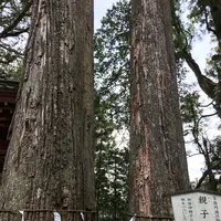 日光二荒山神社の写真・動画_image_174448
