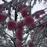 明治の館の写真・動画_image_174466