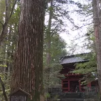 滝尾神社の写真・動画_image_174474